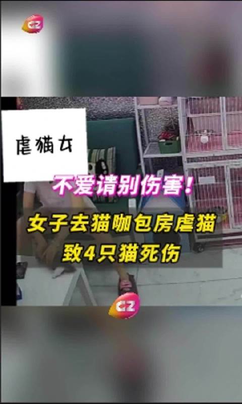 第213页