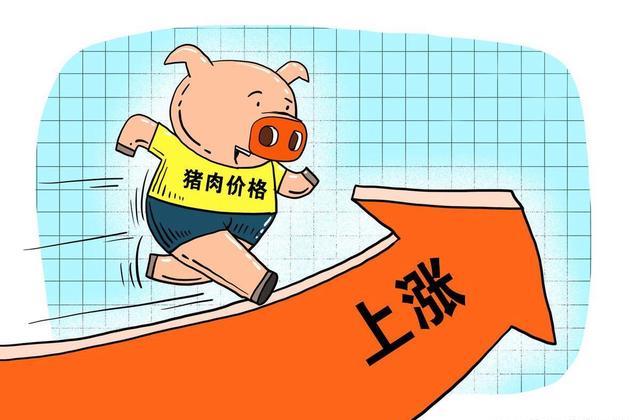 最新资讯 第15页